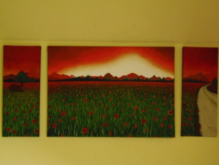 champs de coquelicot